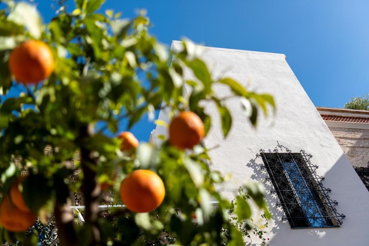 Pajaro Rebelde Bed & Breakfast Seville Luaran gambar